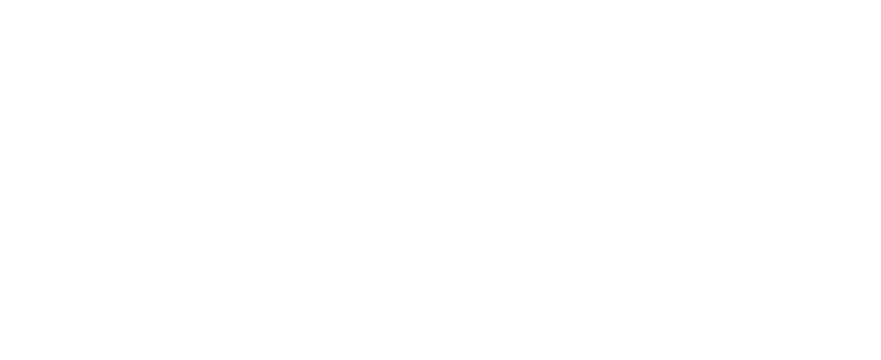 Agence CMS
